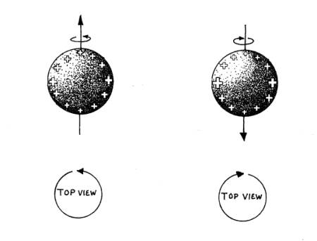 The direction of the magnet depends on the direction of spin, cw or ccw.